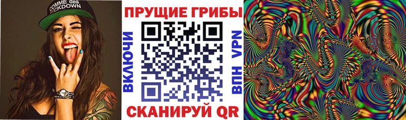 Галлюциногенные грибы мицелий  Северская 